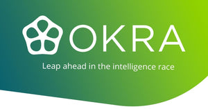 Okra Ai Logo Client review of Agile Designs